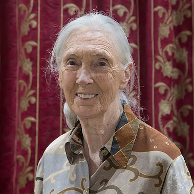 photo of Dr. Jane Goodall, DBE